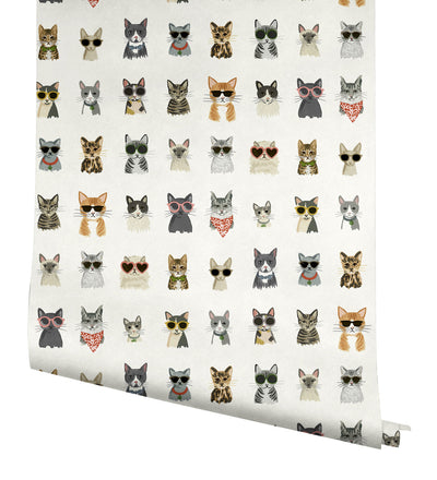 product image for Cool Cats Multi White Peel & Stick Wallpaper by York Wallcoverings 53