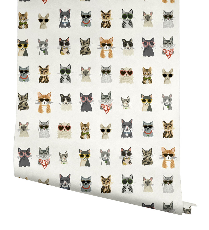 media image for Cool Cats Multi White Peel & Stick Wallpaper by York Wallcoverings 21