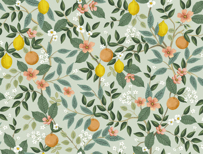 product image of Citrus Grove Mint Peel & Stick Wallpaper by York Wallcoverings 54