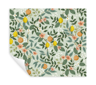 product image for Citrus Grove Mint Peel & Stick Wallpaper by York Wallcoverings 77