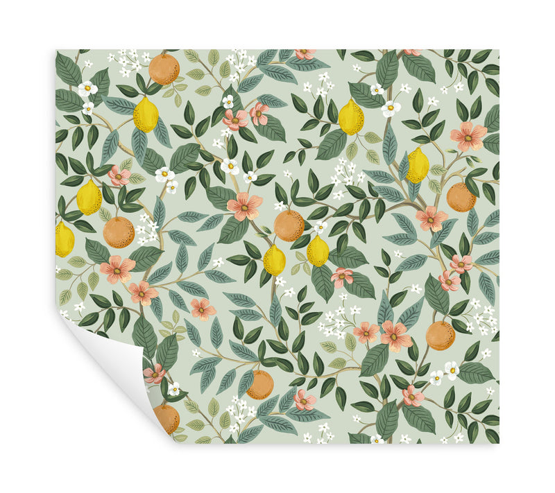 media image for Citrus Grove Mint Peel & Stick Wallpaper by York Wallcoverings 279