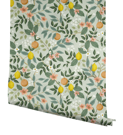 product image for Citrus Grove Mint Peel & Stick Wallpaper by York Wallcoverings 52