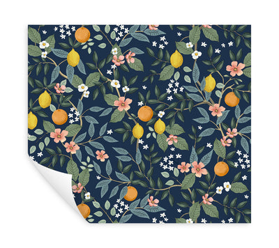 product image for Citrus Grove Navy Peel & Stick Wallpaper by York Wallcoverings 12