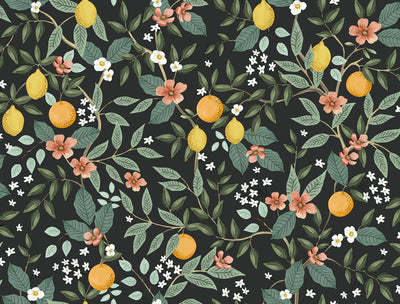 product image of sample citrus grove black peel and stick wallpaper by york wallcoverings 1 562