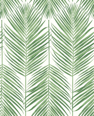 product image of Palm Caribbean Peel & Stick Wallpaper in Green 557