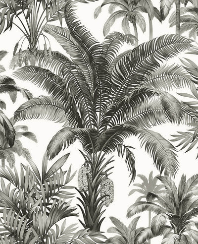 product image for Palm Grove Peel & Stick Wallpaper in Black & White 91
