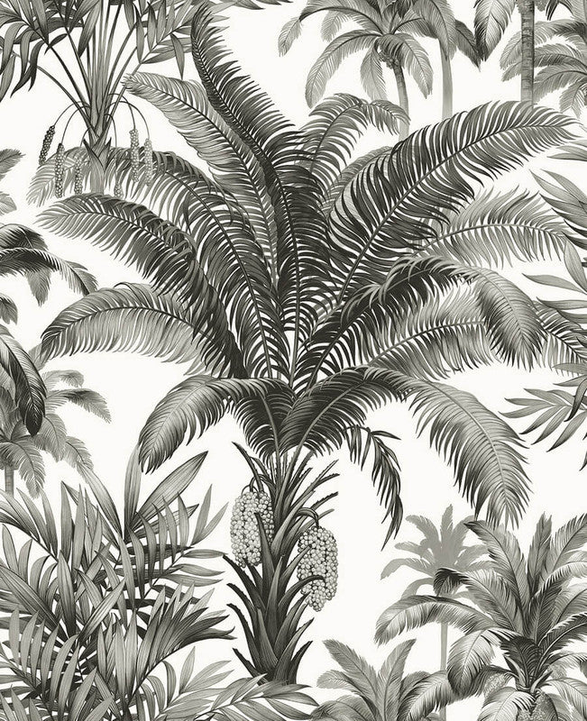 media image for Palm Grove Peel & Stick Wallpaper in Black & White 277