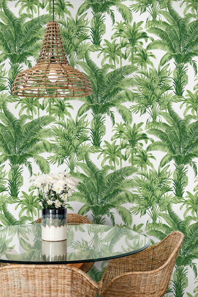 product image for Palm Grove Peel & Stick Wallpaper in Green & White 55