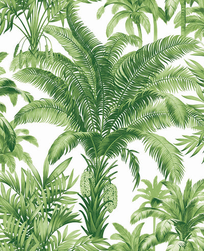 product image of Palm Grove Peel & Stick Wallpaper in Green & White 563