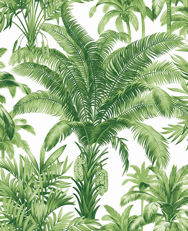 media image for Palm Grove Peel & Stick Wallpaper in Green & White 292