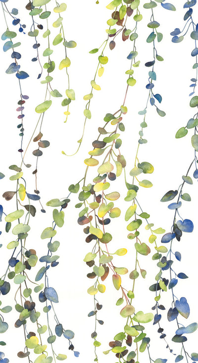 product image of Hanging Watercolor Vines Peel & Stick Wallpaper in Yellow by York Wallcoverings 574