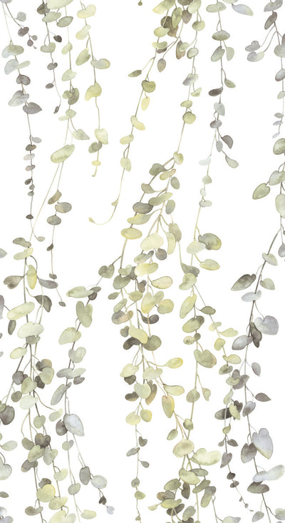 product image of Hanging Watercolor Vines Peel & Stick Wallpaper in Taupe by York Wallcoverings 540