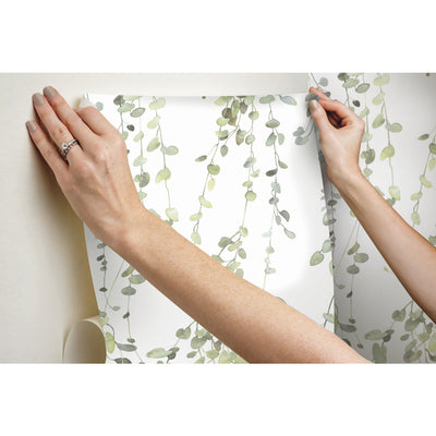 product image for Hanging Watercolor Vines Peel & Stick Wallpaper in Taupe by York Wallcoverings 25