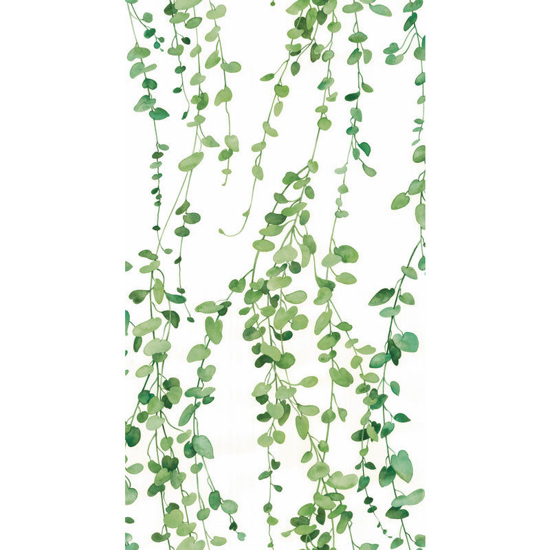 media image for Hanging Watercolor Vines Peel & Stick Wallpaper in White by York Wallcoverings 274