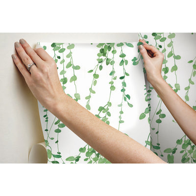 product image for Hanging Watercolor Vines Peel & Stick Wallpaper in White by York Wallcoverings 48