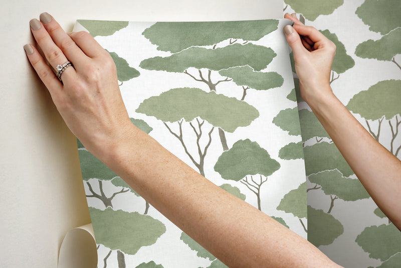 Shop Umbrella Pines Green Peel & Stick Wallpaper | Burke Decor