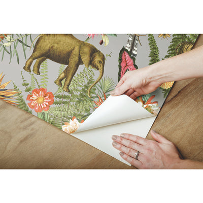 product image for Tropical Zoo Peel & Stick Wallpaper in Green/Grey by RoomMates 83