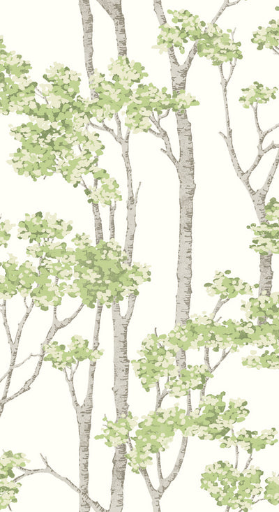 product image of Birch Grove Peel & Stick Wallpaper in Green 540