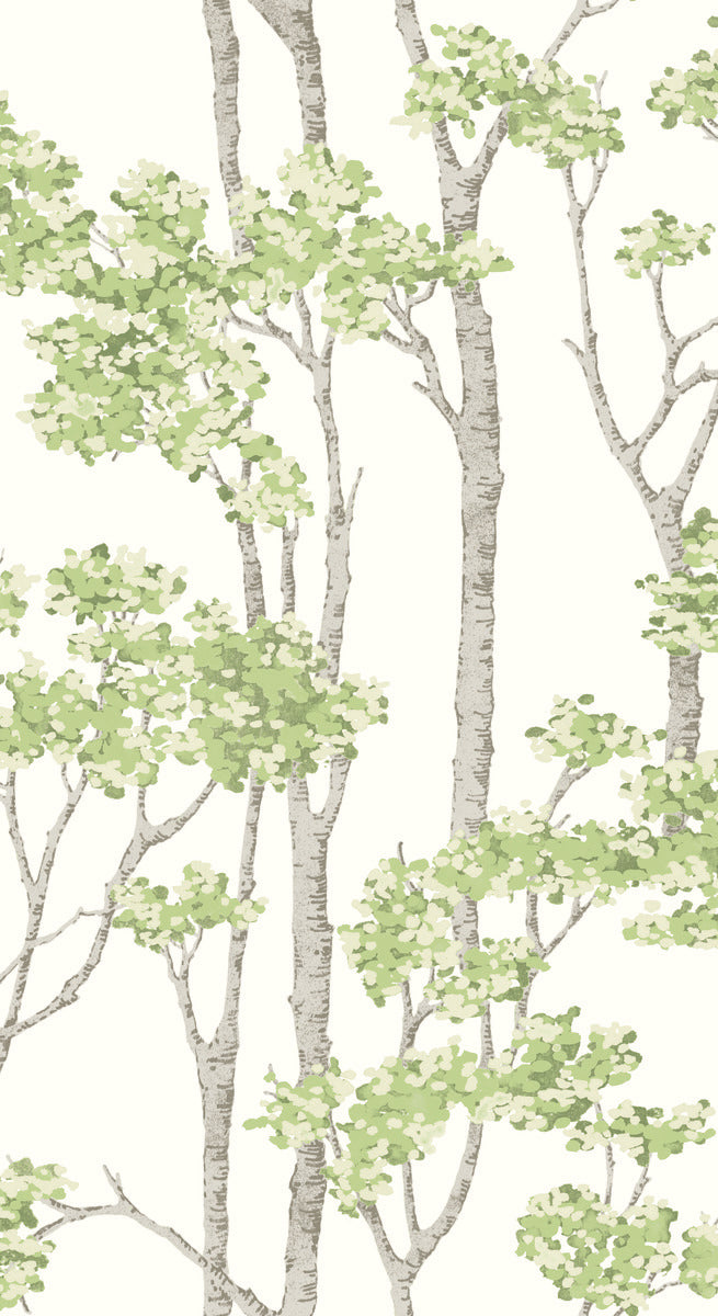 media image for Birch Grove Peel & Stick Wallpaper in Green 244