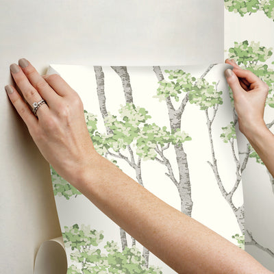 product image for Birch Grove Peel & Stick Wallpaper in Green 20