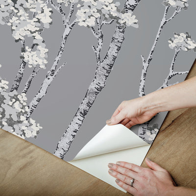 product image for Birch Grove Peel & Stick Wallpaper in Grey 57