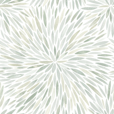 product image for Cat Coquillette Burst Peel & Stick Wallpaper in Green 98