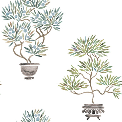 product image for Cat Coquillette Bonsai Peel & Stick Wallpaper in Soft Green/Blue 70