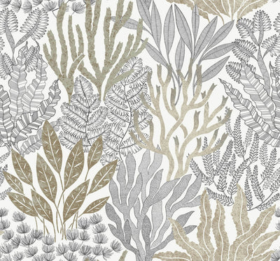 product image of Coral Leaves Wallpaper in Taupe & Black 578