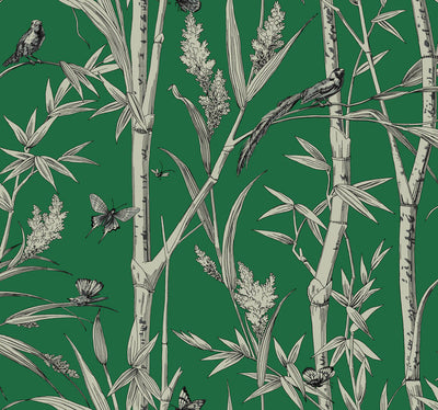 product image of Bambou Toile Wallpaper in Green 524