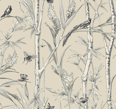 product image of Bambou Toile Wallpaper in Beige 582