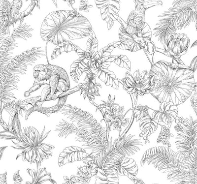 product image of Tropical Sketch Toile Wallpaper in Black 558