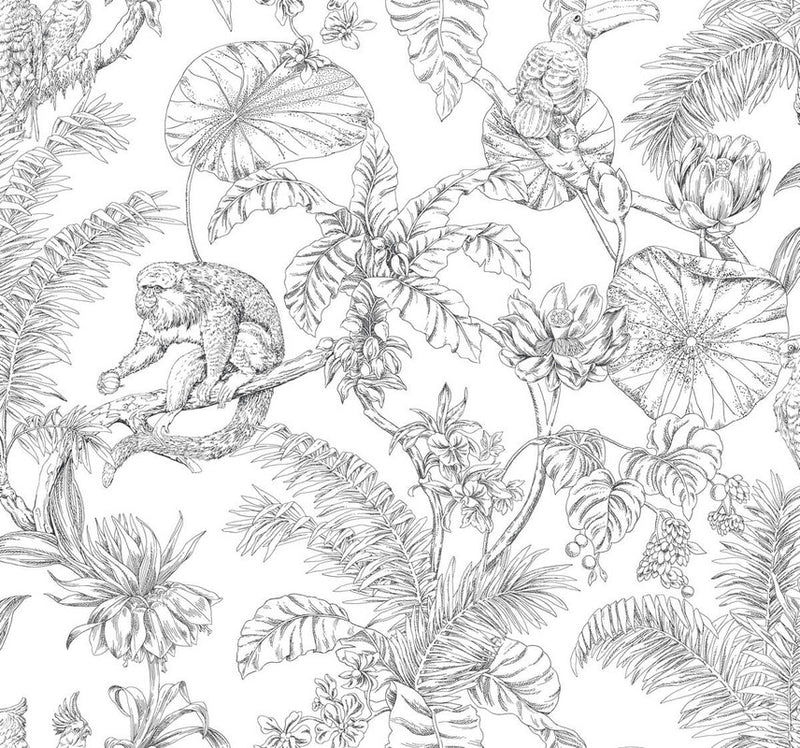 media image for Tropical Sketch Toile Wallpaper in Black 269