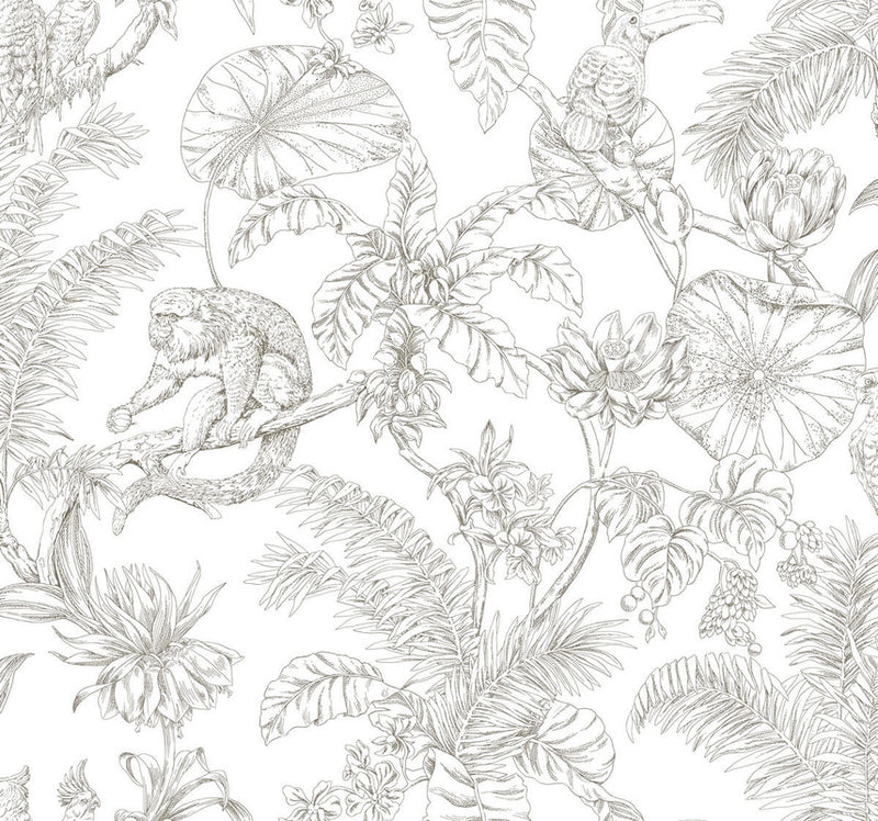 media image for Tropical Sketch Toile Wallpaper in Brown 259