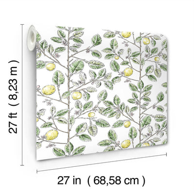 product image for Limoncello Toile Wallpaper in Green 37