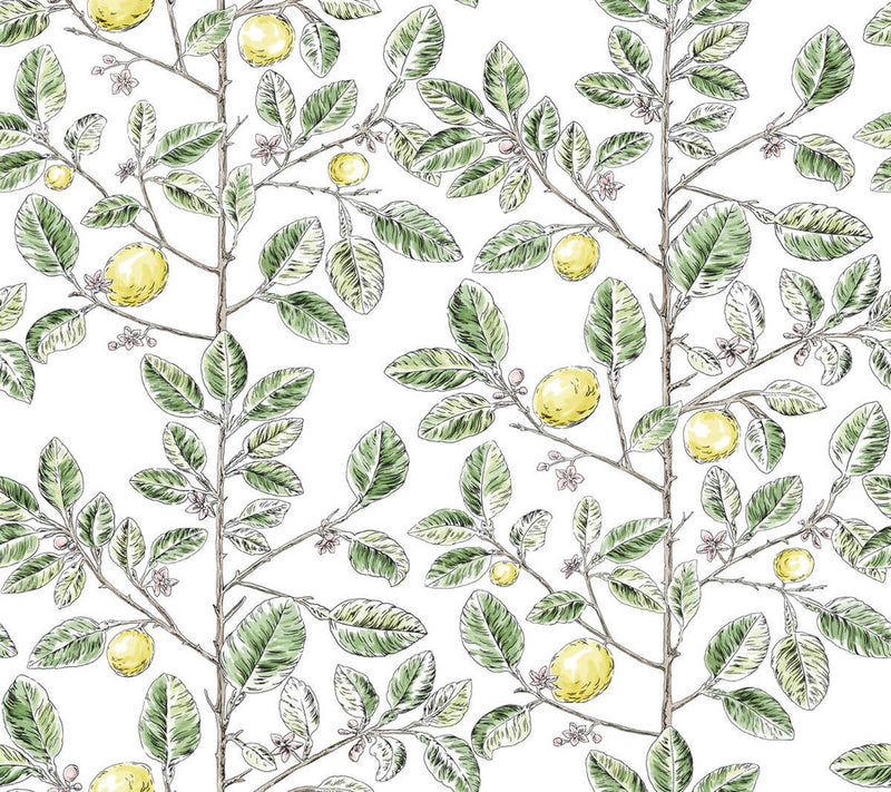 media image for Limoncello Toile Wallpaper in Green 296