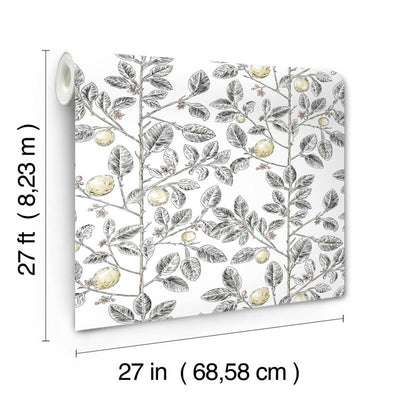 product image for Limoncello Toile Wallpaper in Black 41