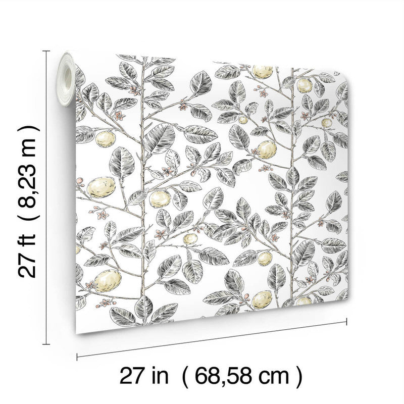 media image for Limoncello Toile Wallpaper in Black 219