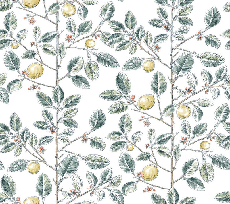 media image for Limoncello Toile Wallpaper in Forest 250