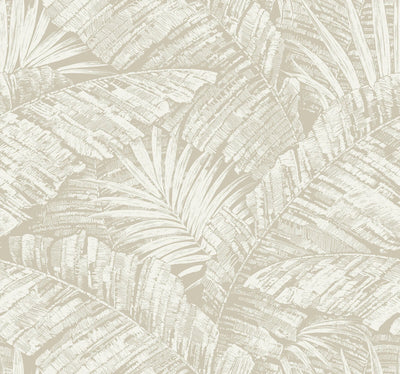 product image of Sample Palm Cove Toile Wallpaper in White & Taupe 545