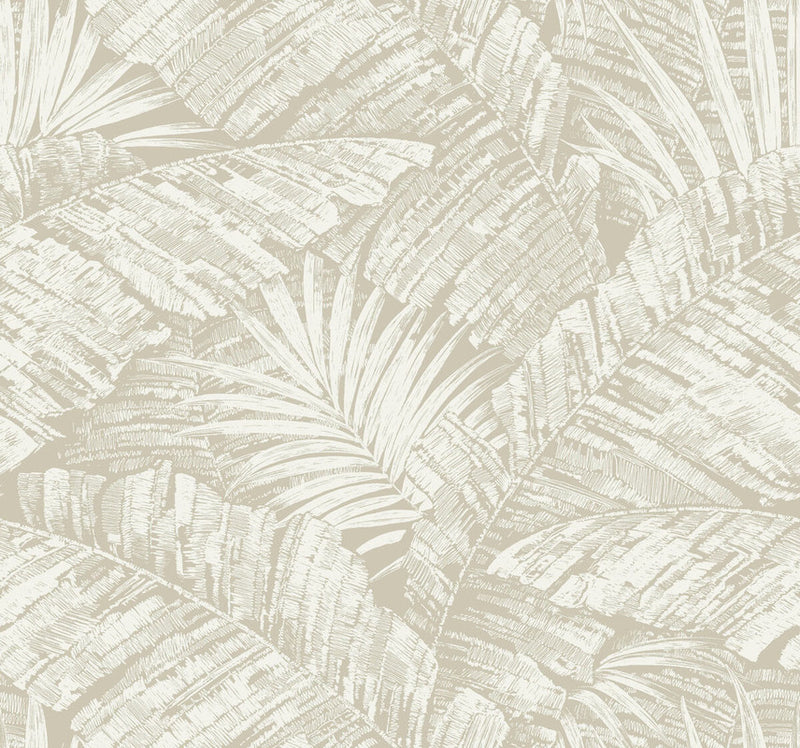 media image for Sample Palm Cove Toile Wallpaper in White & Taupe 255