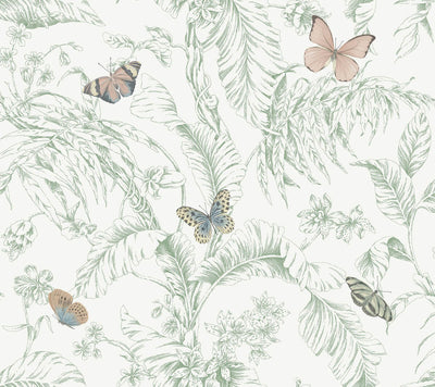 product image of Papillon Wallpaper in Blush 568