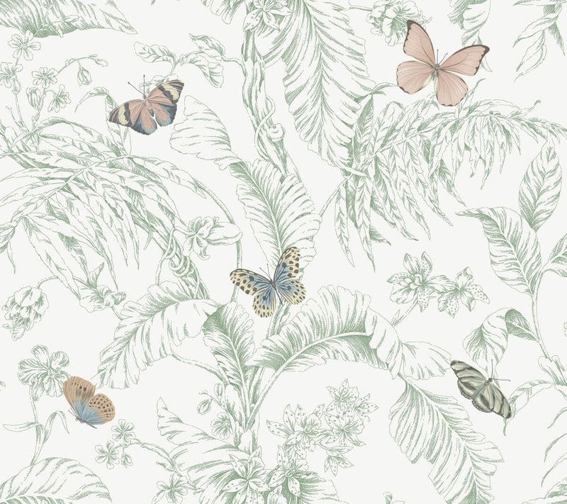 media image for Papillon Wallpaper in Blush 275