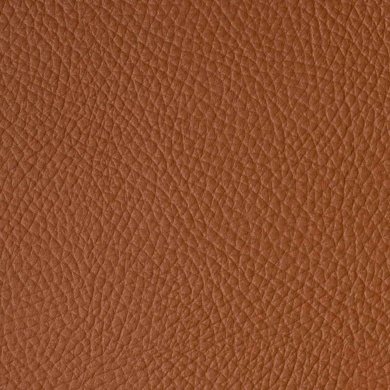 media image for Sample Saddle Fabric in Rust 242