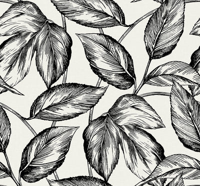 product image for Beckett Sketched Leaves Wallpaper in Volcanic Black 4