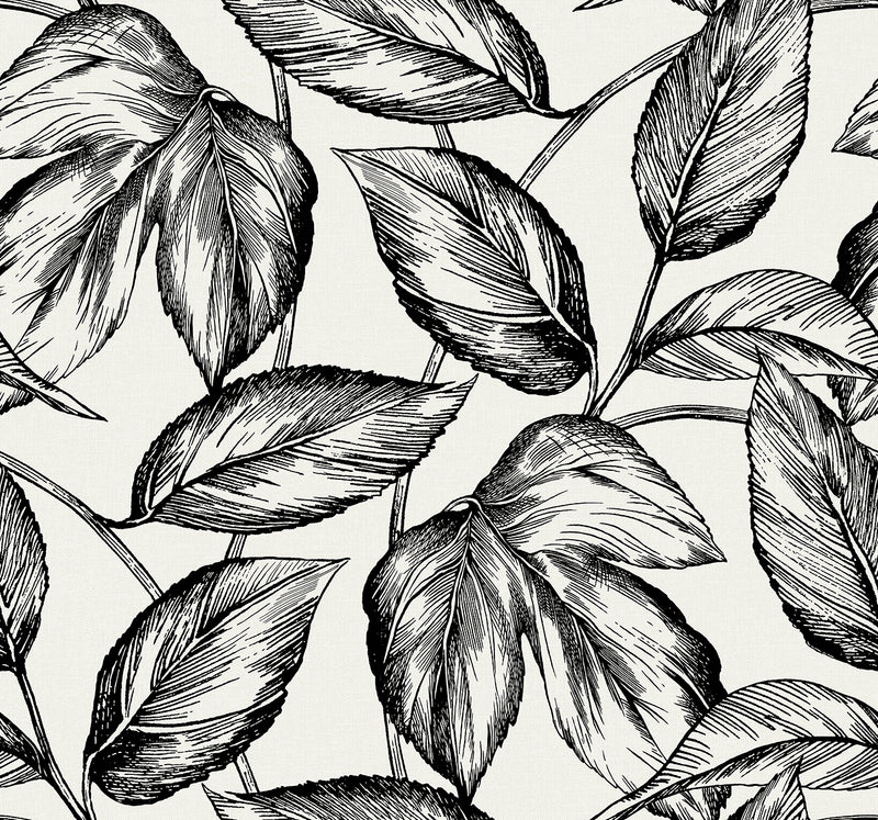 media image for Beckett Sketched Leaves Wallpaper in Volcanic Black 25