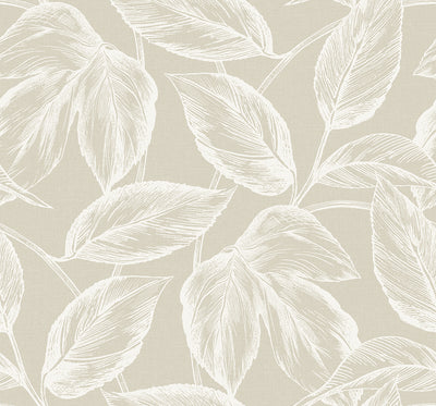 product image of Sample Beckett Sketched Leaves Wallpaper in Oat 577