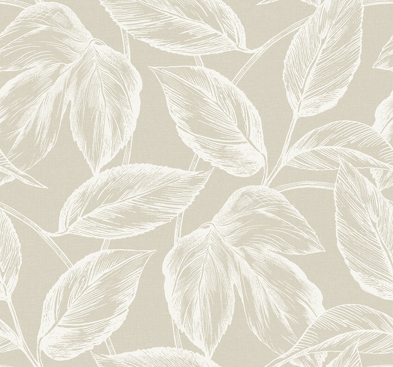 media image for Sample Beckett Sketched Leaves Wallpaper in Oat 242