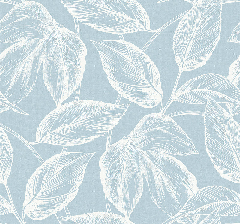 media image for Beckett Sketched Leaves Wallpaper in Baby Blue 274