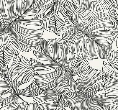 product image for Tarra Monstera Leaf Wallpaper in Contrasto 67