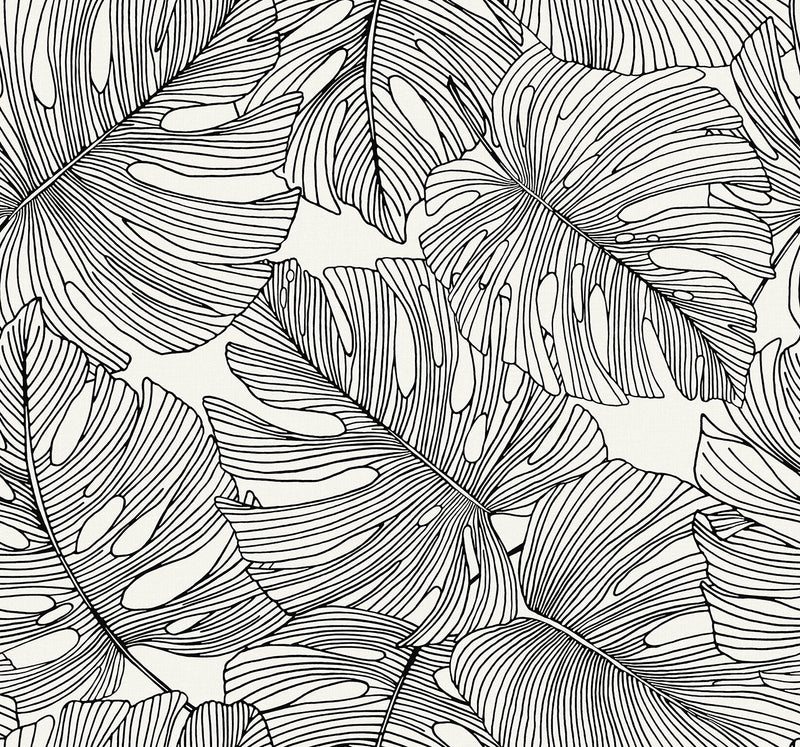 media image for Tarra Monstera Leaf Wallpaper in Contrasto 250